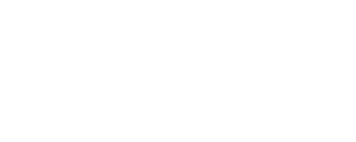 Intellectus Clothing